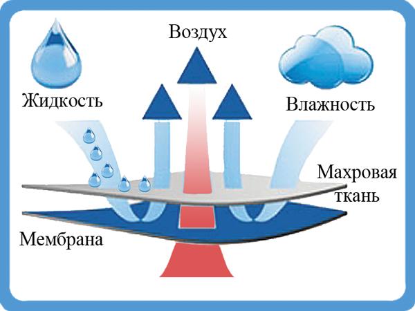 Чехол Lonax Jaklyn Aqua+